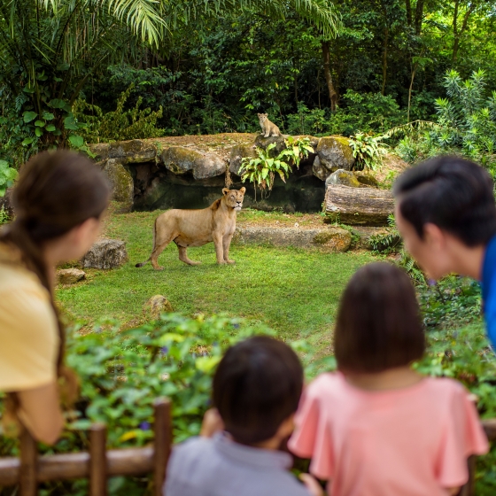 シンガポール動物園